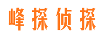 德保外遇调查取证